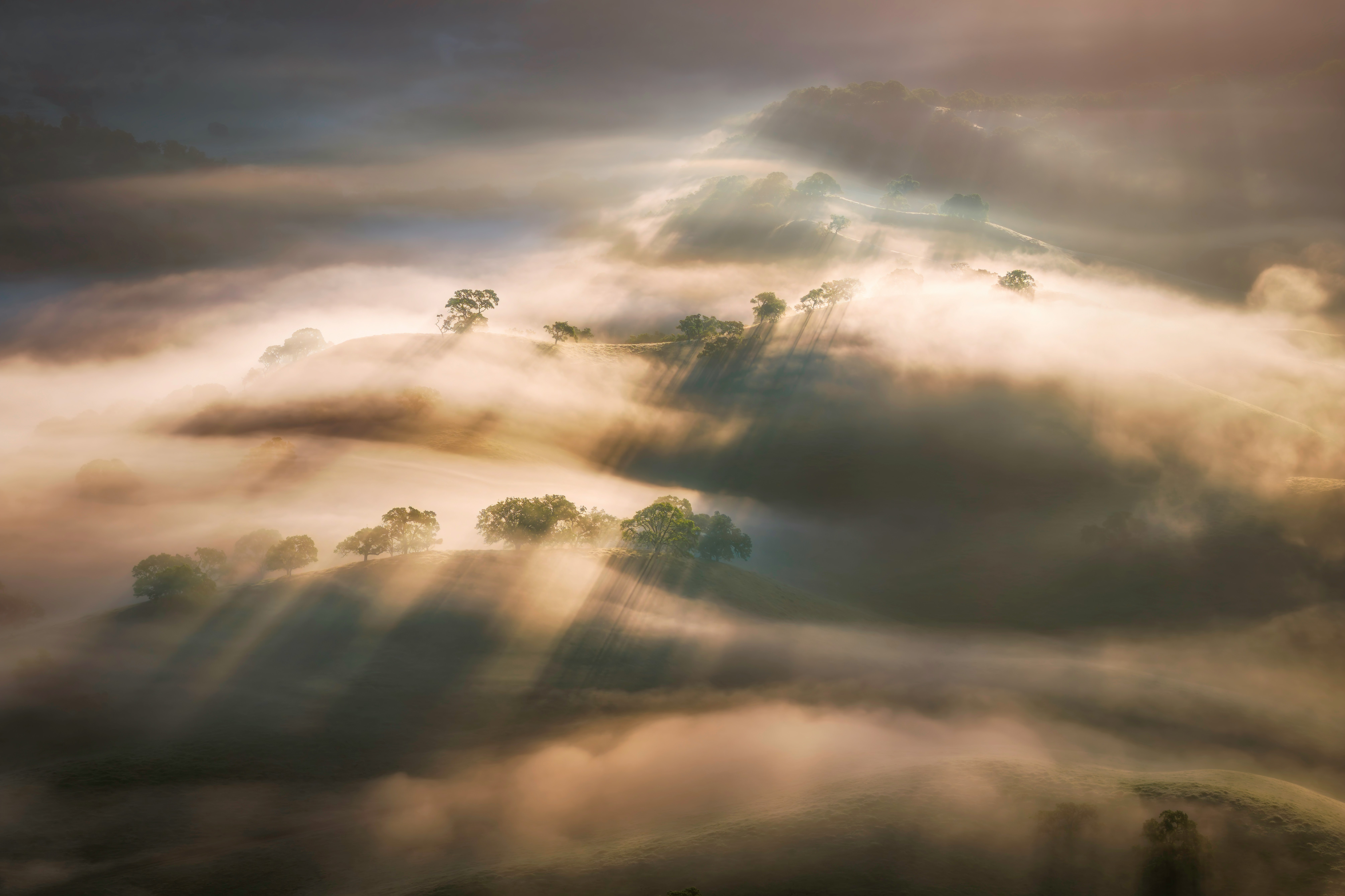 Sun rays through fog at sunrise - symbolising clarity, awakening, and enlightenment beyond illusion.